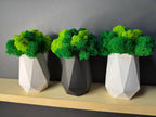 Tall Planter – Modern Minimalist Indoor Plant Pot