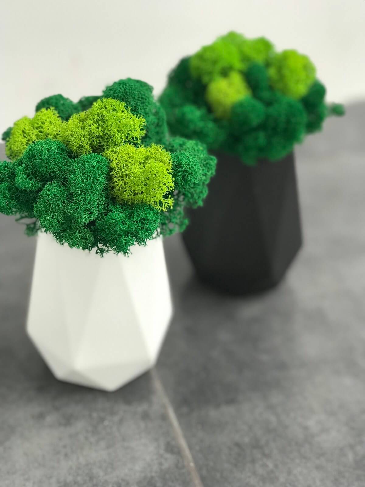 Tall Planter – Modern Minimalist Indoor Plant Pot