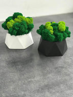 Handcrafted Triangular Decor - Modern Geometric Art